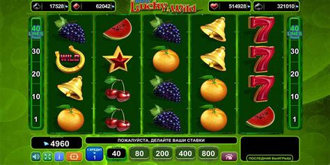 Игровой автомат More Lucky & Wild (Больше Удачи) играть онлайн
